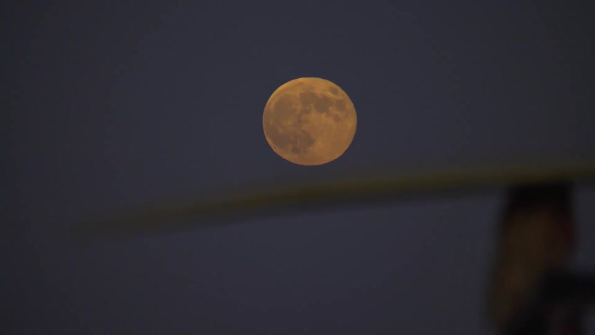 Surfer woman walking and carrying her surfboard with a big fin under the full moon light at night