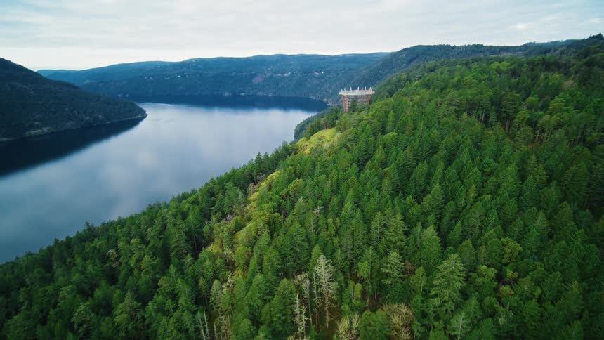 Aerial view of a forested hillside next to a wide lake under the sky