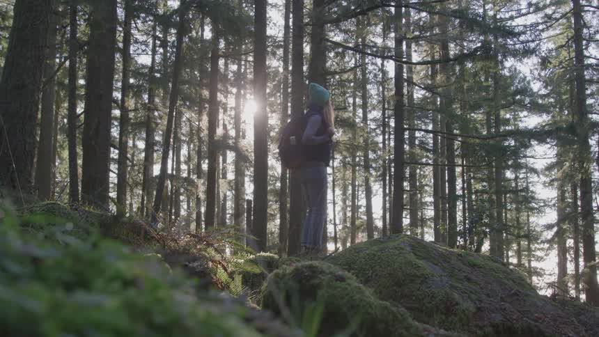 A girl hikes through the woods