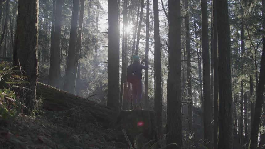 A girl stands in a forest