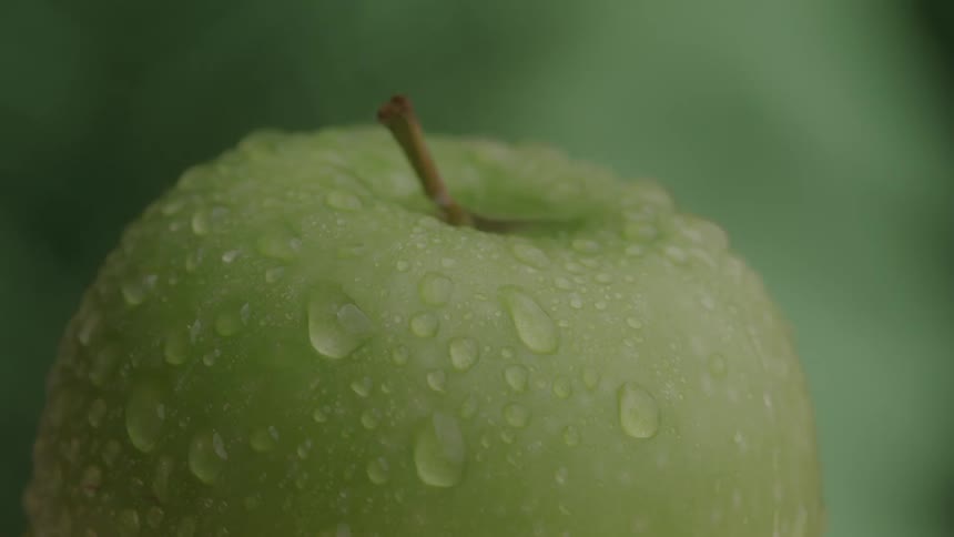 Green apple with water droplets on the skin and a blurred green background