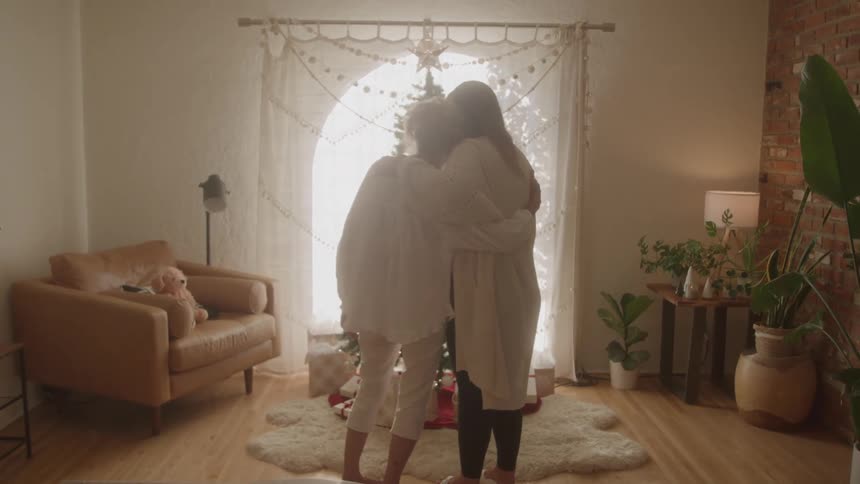 Two people embracing while looking at a christmas tree by the window