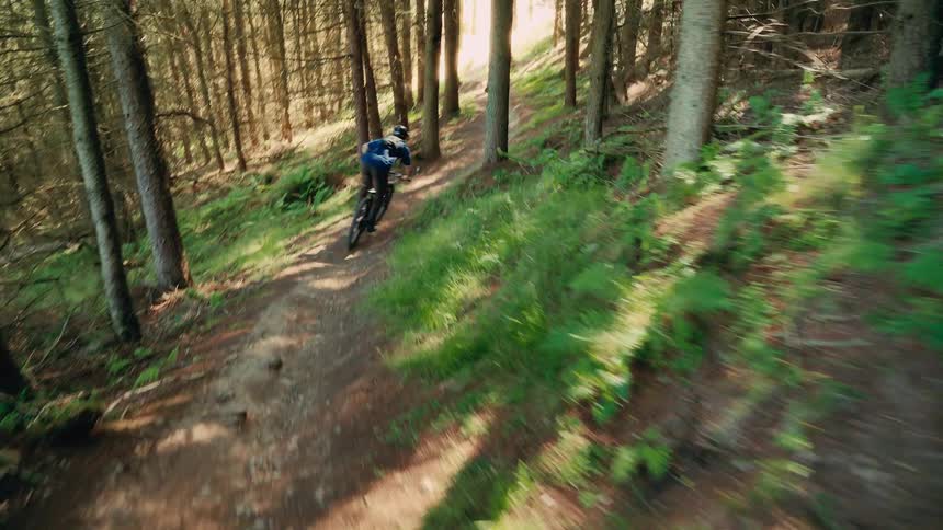 A cyclist rides along a narrow dirt trail through a dense forest