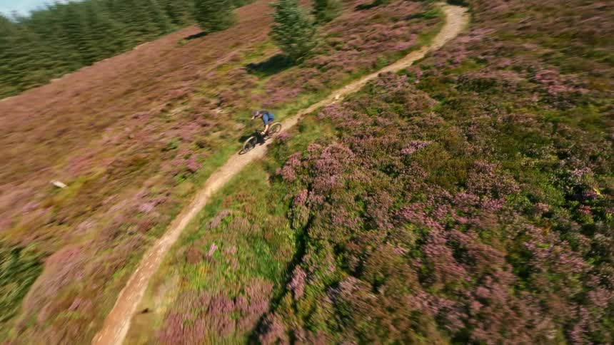 A cyclist rides a dirt path through heather hills and forest