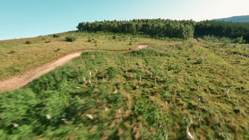 A mountain biker rides on a trail with grasses on both sides at midday