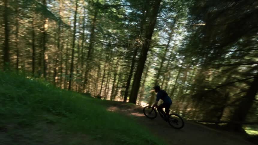 A mountain biker rides down a trail in the woods at midday