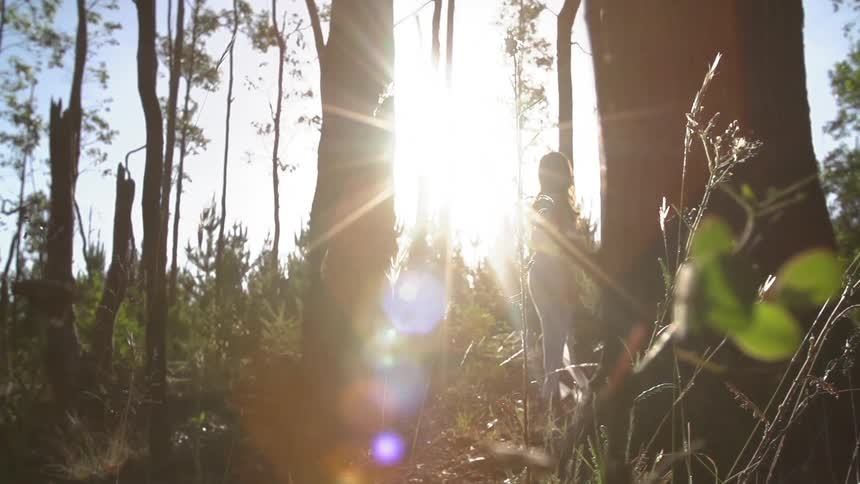 Woman standing in a forest as the sun shines