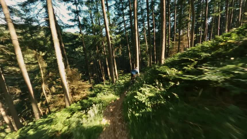 A mountain biker rides down a hill forest trail surrounded by trees at midday