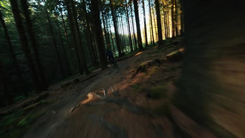 A mountain biker riding on a trail quickly through trees on a dirt path