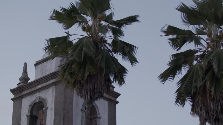 A historic church with palm trees stands against the evening sky
