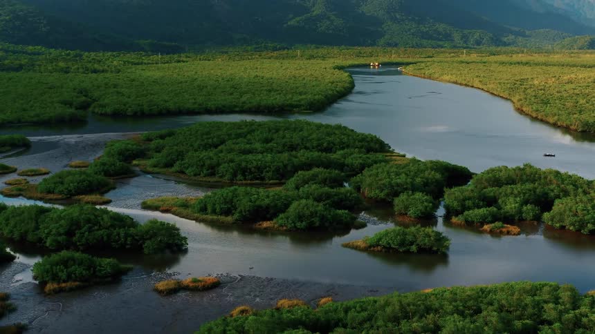 A dense lush jungle landscape surrounded by mountains