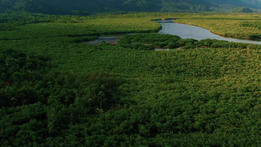 A winding river cuts through a vast expanse of dense green forest beneath towering mountains