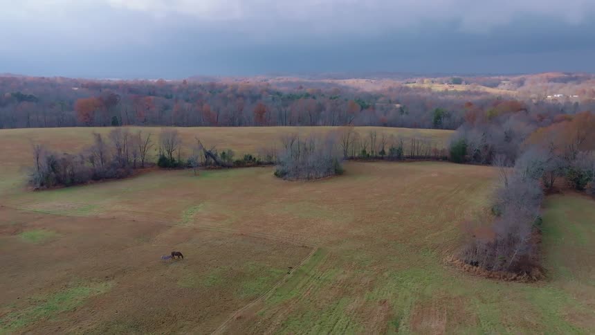 An aerial view shows a vast field with two horses grazing surrounded by scattered trees and a dense forest in the background all under a cloudy sky