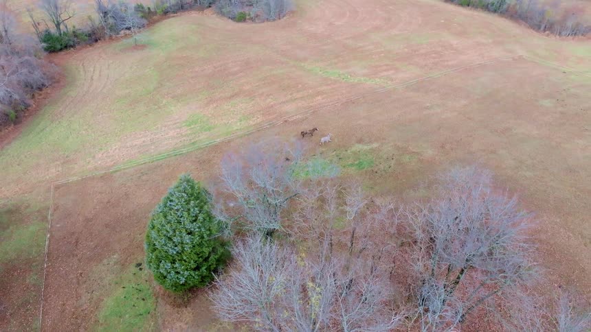 Horses run across an open field landscape