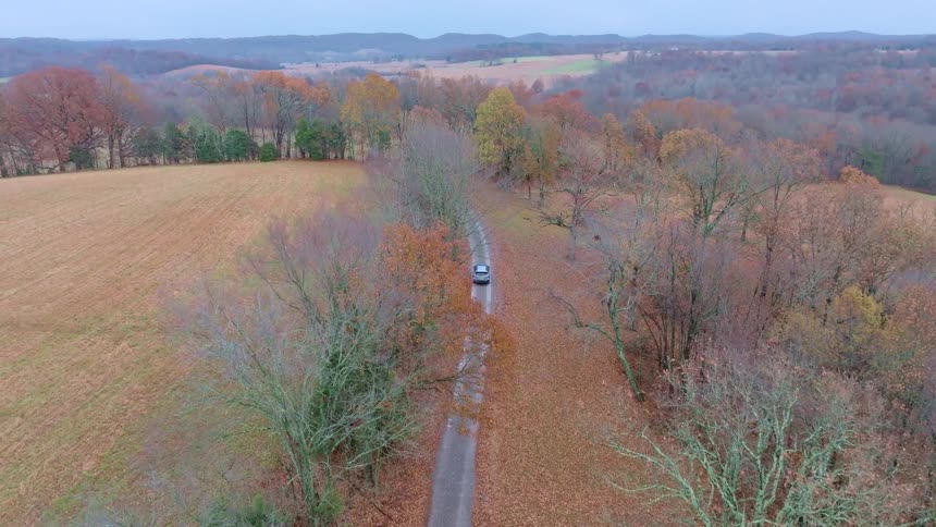 Car drives along a road surrounded by autumncolored trees
