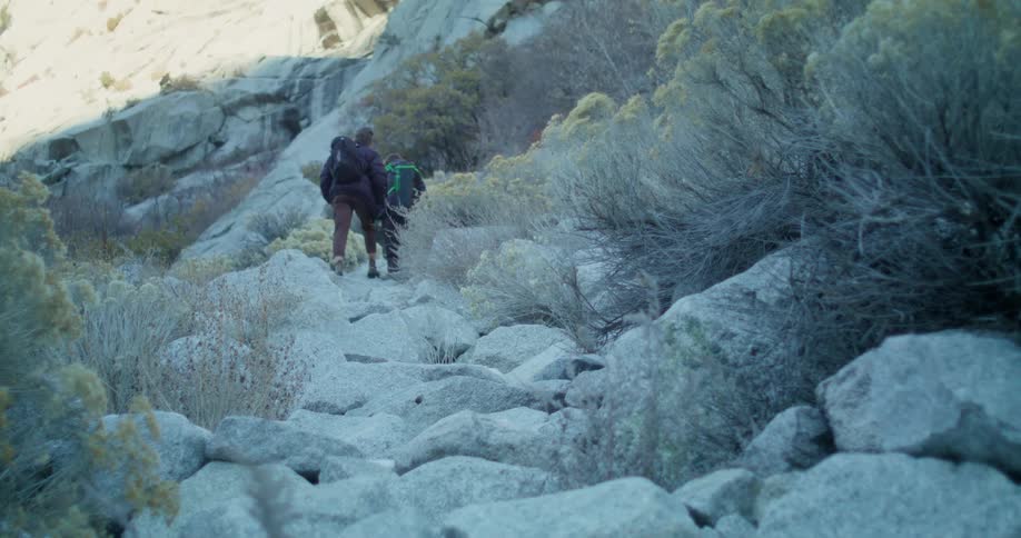 Two backpackers climbing a rocky trail among vegetation