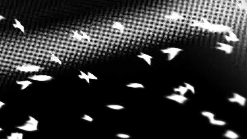 White bird silhouettes appear in a highcontrast abstract blackandwhite scene