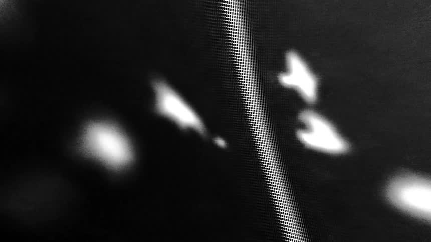A blurred abstract composition with white light spots and dark shapes that are bird like