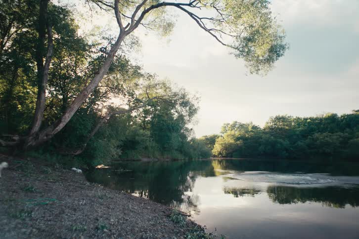 A woman swings on a rope and splashes into the lake as two small dogs come running up to the waters edge