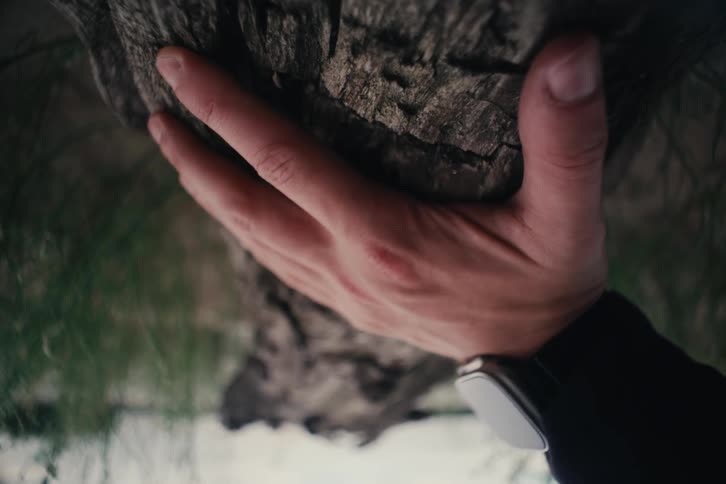 Hand rests on the rough bark of a fallen tree trunk