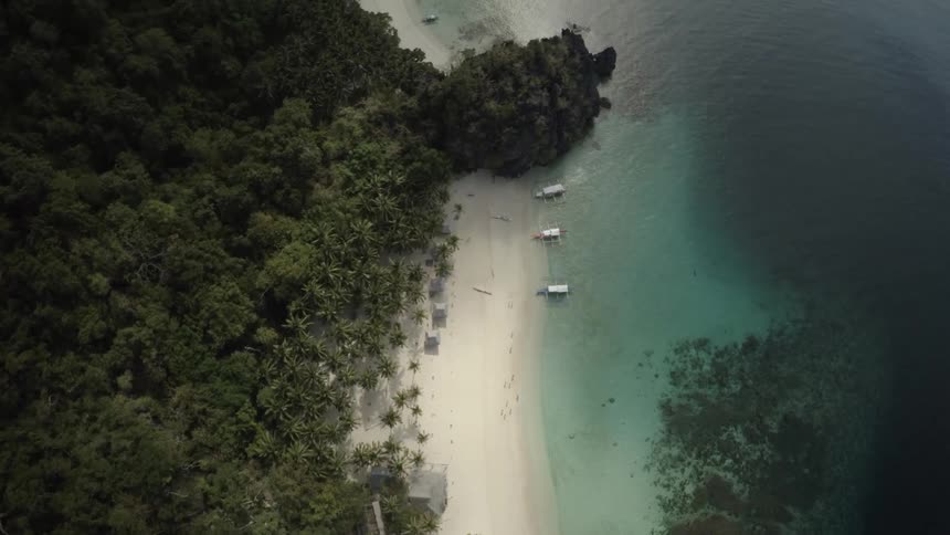 Lush forest next to sandy beach and teal blue ocean waters