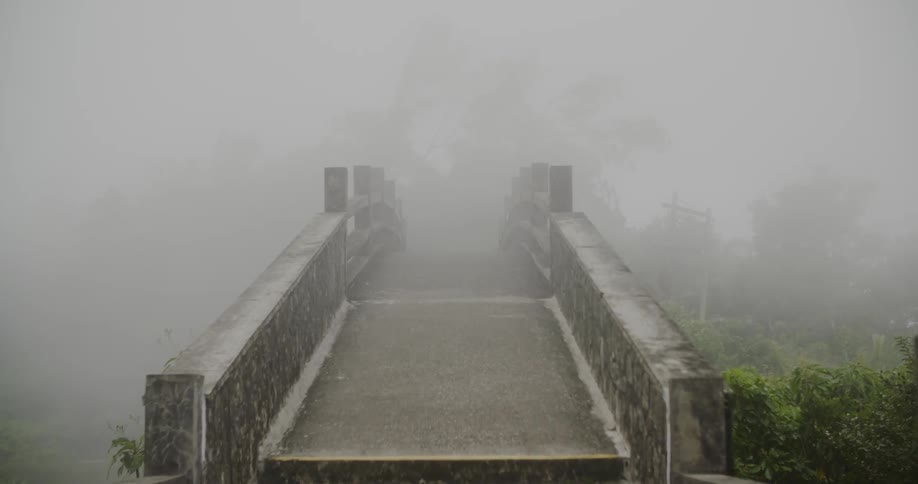 Fog settles over a footbridge on a windy day