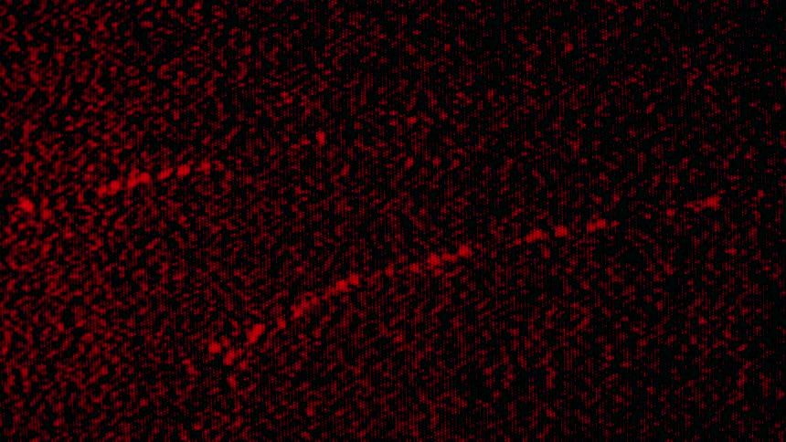 A screen displays a dense static pattern of red and black digital noise