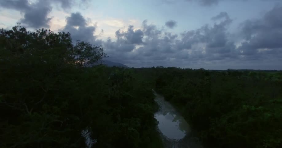 A river running through some trees