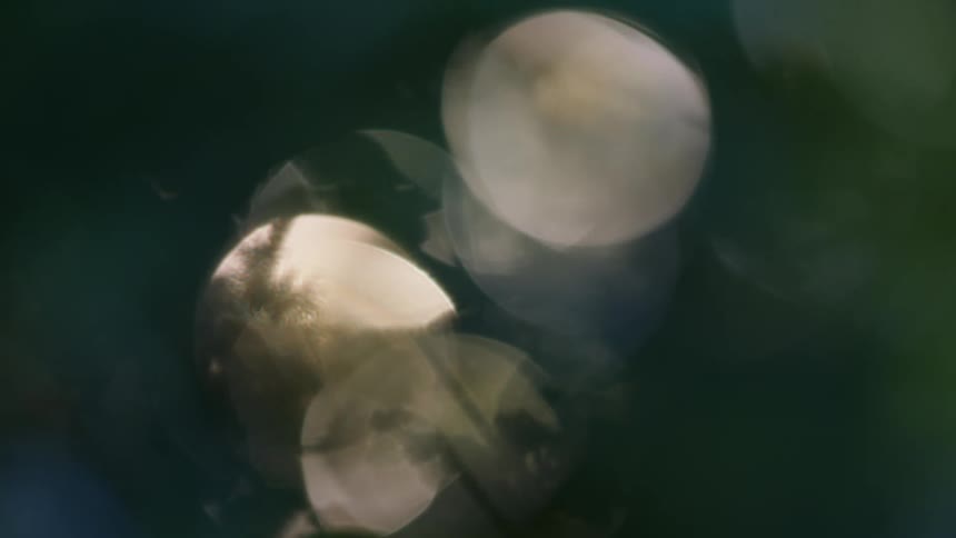 Blurred circular light reflections in golden and green tones seen through soft focus foilage