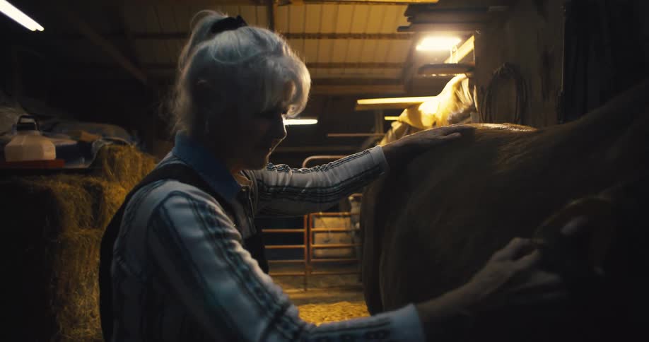 A woman brushes her horse in the stable