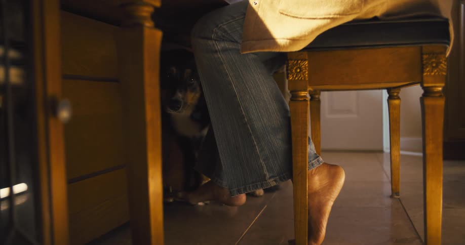 A person sits barefoot at a wooden table while a dog peeks out from beneath the chair by their legs