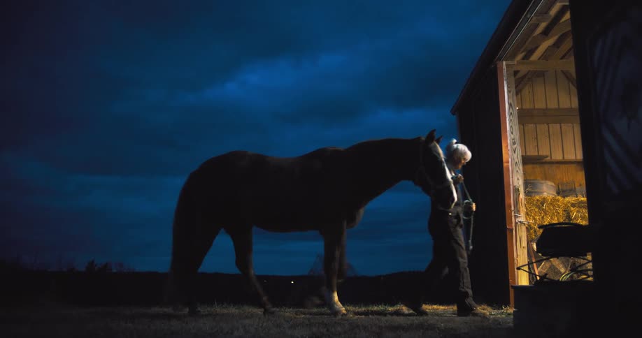 A woman leads a horse toward a barn at night