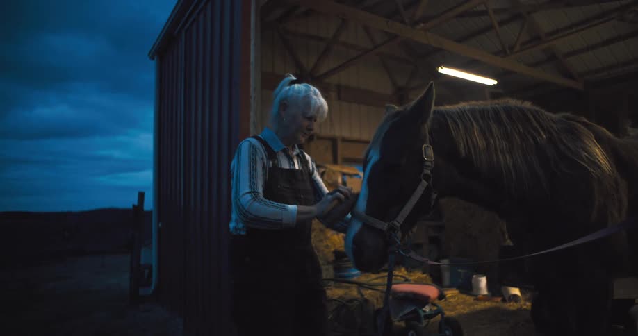 A woman tends to a horse in a barn at dusk