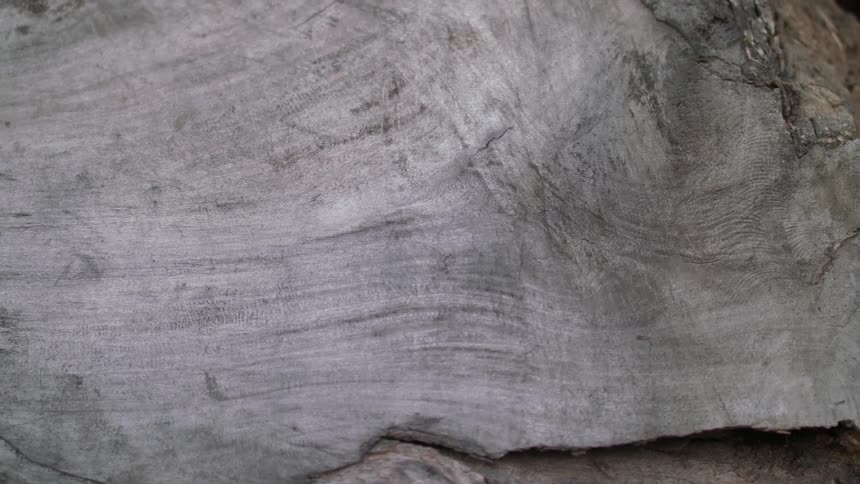 A large piece of wood is cut below