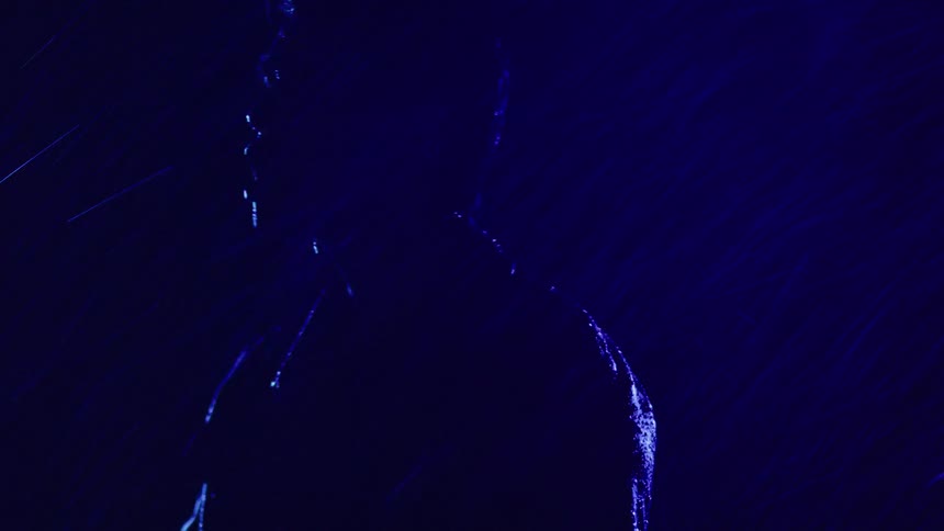 Person in silhouette under intense blue lighting in the rain