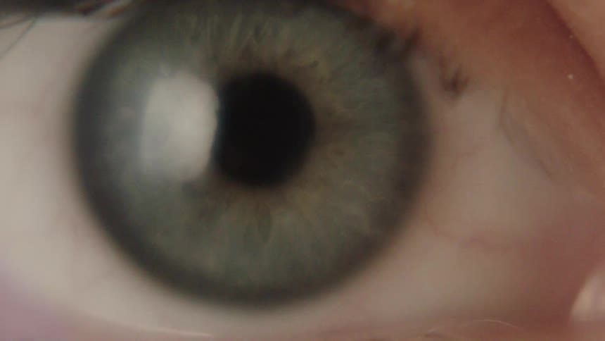 A close view of a human eye with a green iris and a black pupil is shown as the eyelid blinks