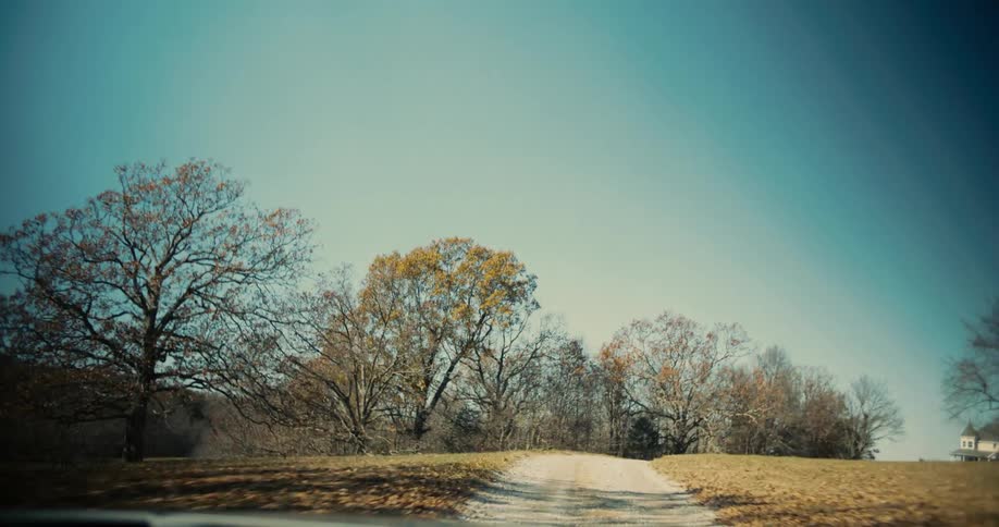 Dirt road surrounded by bare trees under a clear blue sky
