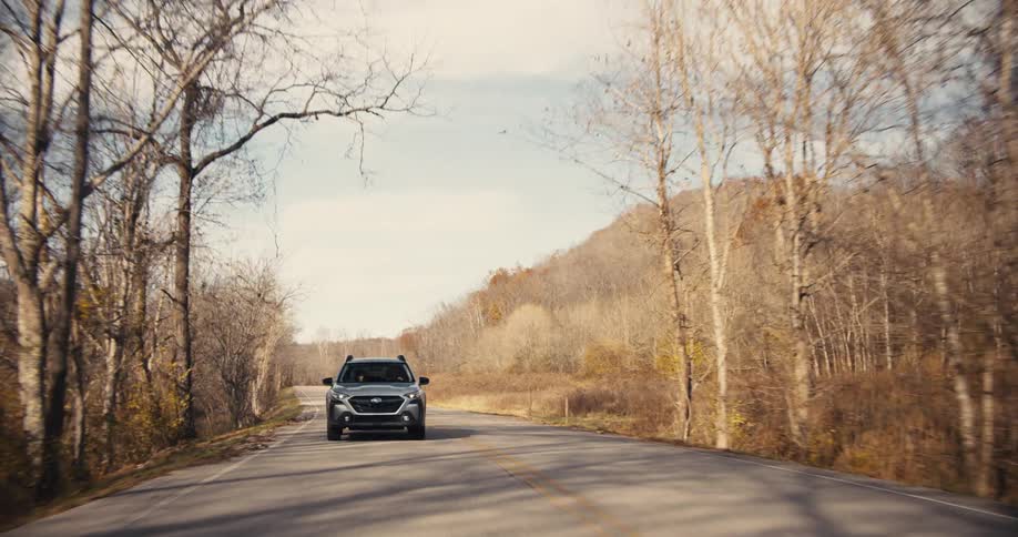 The vehicle is traveling down the long road surrounded by trees