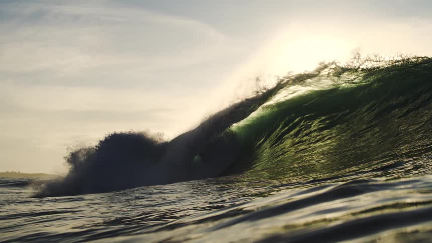 Wave rising against the setting sun
