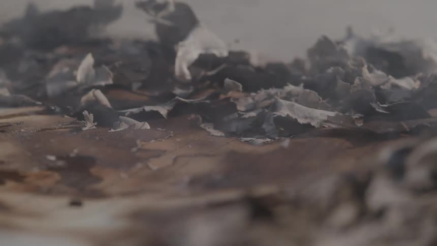 Wind blowing away burnt papers ashes