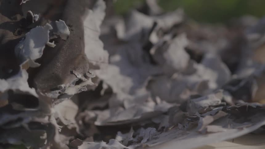Charred paper curls and flakes into delicate ash under sunlight and smoke