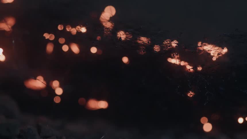 Sparks burn bits of bushes