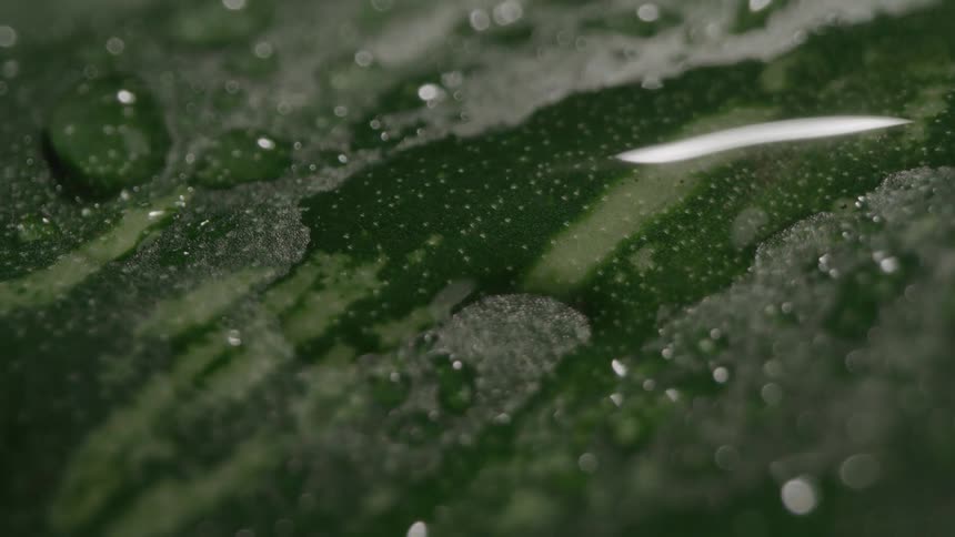 Light passes over green liquid