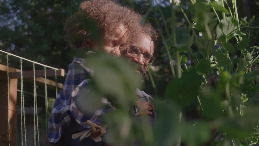 Father with his young son on his lap in an outdoor vegetable garden