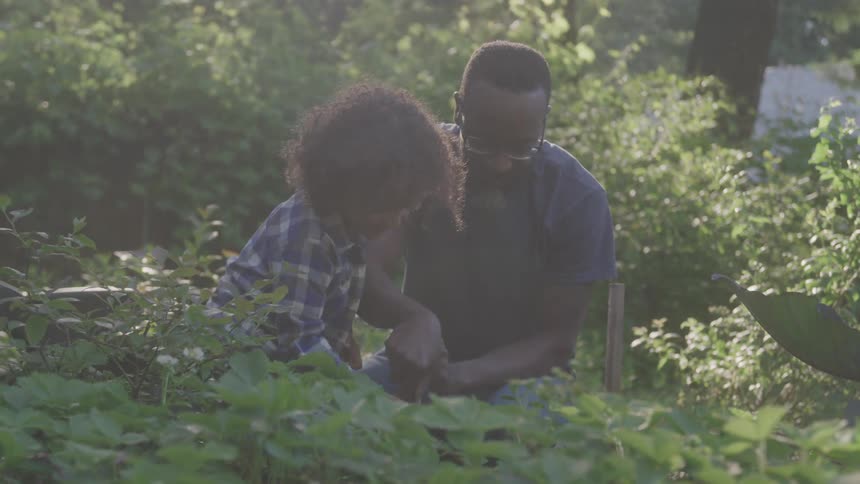 Man helping a child dig in the garden