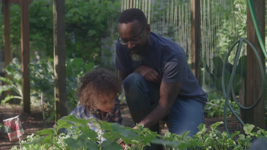 A man with glasses and a child with curly hair and a plaid shirt are seen from the waist up in a garden as they both crouch down to tend to the plants