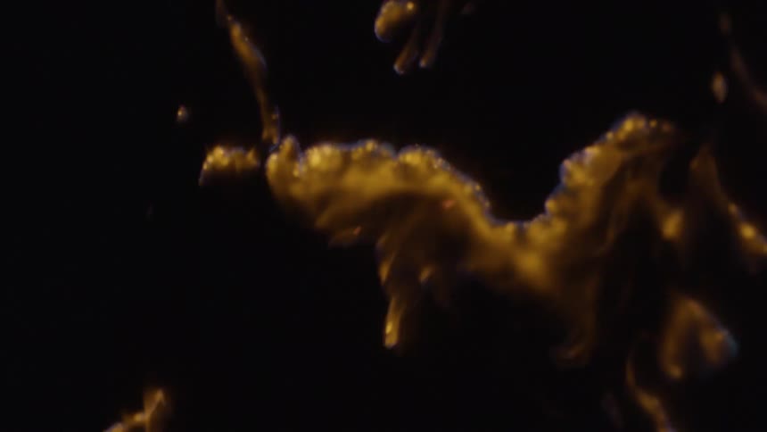 Golden abstract shapes glowing against a dark background