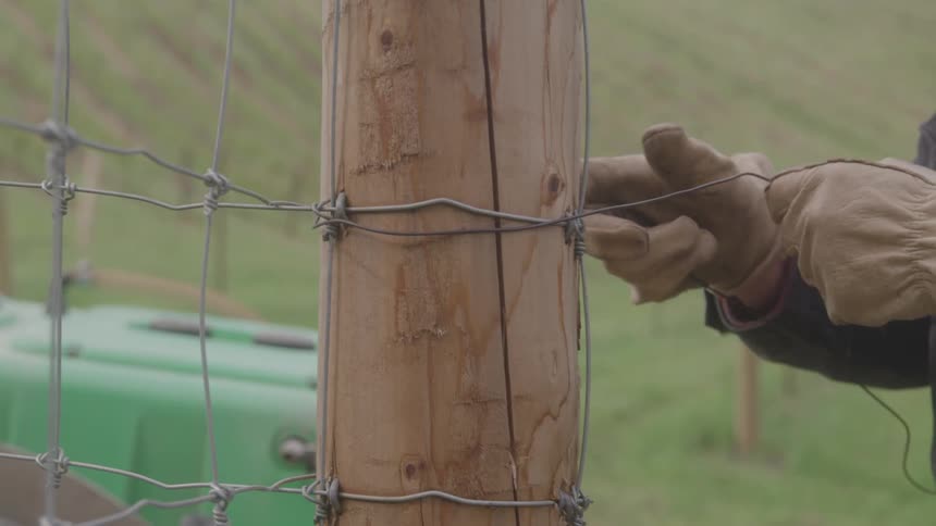 Hand with gloves attaching a metal wire to a fence on a wooden stump