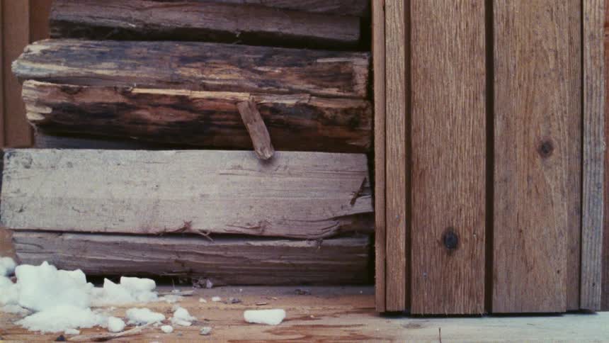 Ice is on the floor by the stack of logs