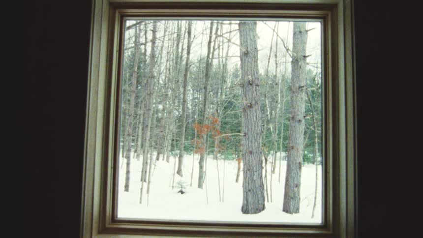 A snowy forest is seen through a window frame
